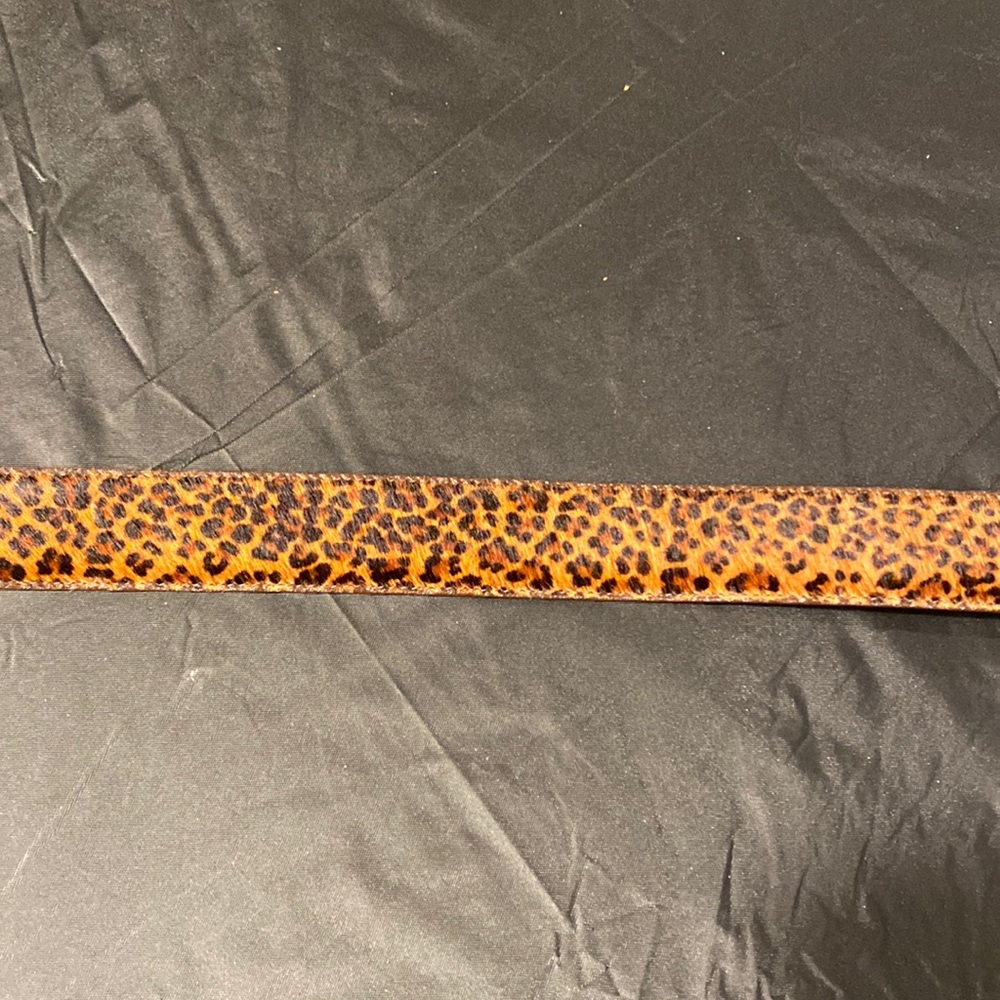 Belt